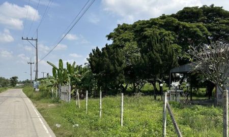 ขายที่ดิน - ขายถูกมาก!! ที่ดินติดถนน ถมแล้ว 5-0-41 ไร่ ทำเลทอง อ.หางดง จ.เชียงใหม่ ใกล้ รร.นานาชาติ บิ๊กซี ตลาดหางดงฯ