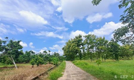 ขายที่ดิน - ขายสวนลำไยแปลงเล็กแบบพอเพียง ติดถนนคอนกรีต ใกล้โลตัส แมคโครจอมทองเพียง 5 นาที