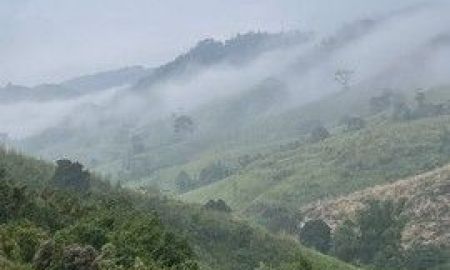 ขายที่ดิน - ขายที่ดินสวยวิวเขา ขนาดตั้งแต่ 2 งาน 100 ไร่ อำเภอเขาค้อ เพชรบูรณ์