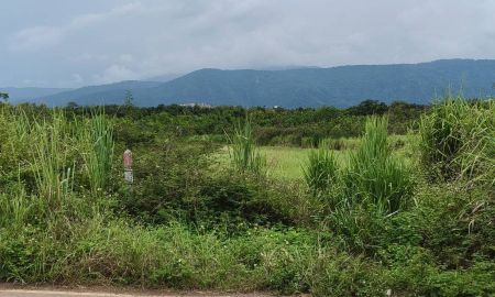 ขายที่ดิน - ขายที่ดินเขาใหญ่ 10ไร่ หมูสี โป่งตาลอง ที่สูงเทควิวเขาใหญ่สวยชัด ติดถนนลาดยางเส้นสระน้ำใส ใกล้ธนะรัชต์ ใกล้ทอสคานา Toscana The forest วิวอุทยานเขาใหญ่