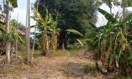 ขายที่ดิน - ขายที่ดิน ตำบลท่าศาลา เมืองเชียงใหม่ ตรว ล่ะ 15000 บาท