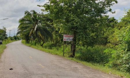 ขายที่ดิน - ขายที่ดินเปล่า ทำเลดี ตำบลคูหาสวรรค์ ใจกลางเมืองพัทลุง