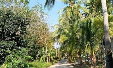 ขายที่ดิน - ขายที่สวนยางยกแปลง โฉนดครุฑแดง 5 ไร่ 30 ตารางวา ประจวบคีรีขันธ์