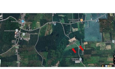 ขายที่ดิน - ขายที่ดิน 2 แปลง แปลงใหญ่เนื้อที่ 10 ไร่ 64 ตารางวา สุราษฎร์ธานี