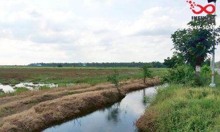 ขายที่ดิน - ขายที่ดิน 97 ไร่ คลอง 9 รังสิต นครนายก สร้างโรงงาน คลังสินค้า ผังสีม่วง