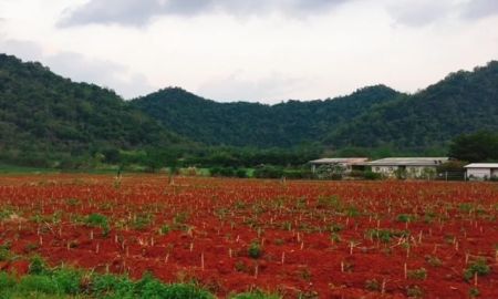 ขายที่ดิน - ขายที่ดินปากช่อง เขาใหญ่ 3 ไร่ ใกล้เขา อากาศเย็นตลอดทั้งปี ใกล้ชิดธรรมชาติ