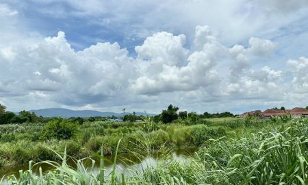 ขายที่ดิน - ขายที่ดินศรีราชา แปลงสวย ราคาดี ติดเส้นหลัก ศรีราชา-หนองค้อ 41/3