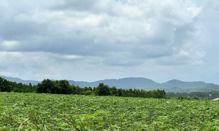 ขายที่ดิน - ขายที่ดินศรีราชา ราคาถูก แปลงสวย ทำเลดี วิวเขาเต็มๆ ใกล้สวนเสือศรีราชา