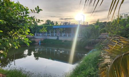 ขายที่ดิน - ลงขายที่ดิน 4 ไร่ พร้อมสิ่งปลูกสร้างและพืชพันธุ์ อ.โพธาราม จ.ราชบุรี