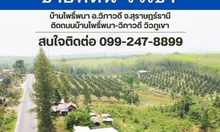 ขายที่ดิน - ขายที่ดินเชิงเขา วิวธรรมชาติ บ้านโพธิ์พนา อ.วิภาวดี จ.สุราษฎร์ธานี 169,000 บาท