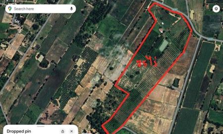 ขายที่ดิน - ขายที่ดินทำเลดี ที่ดินสวนไผ่ซางหม่นอายุ 5 ปี พร้อมที่พัก เจ้าของขายเอง สุพรรณบุรี