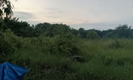 ขายที่ดิน - ขายที่ดินแปลงใหญ่ 8 ไร่ หน้ากองบิน 4 อ.ตาคลี จ.นครสวรรค์