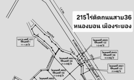 ขายที่ดิน - ขายที่ดินสีม่วงลาย 215ไร่ติดถนนสาย36 บางนา-ตราด ต.มาบข่า อ.นิคมพัฒนา ระยอง