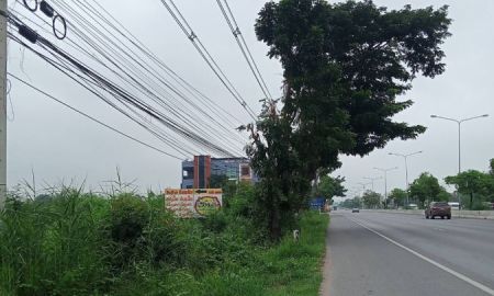 ขายที่ดิน - ขายที่ดินโฉนด 24 ไร่ 1 งาน 77 ตรว.ทําเลดี ติดถนนเพชรเกษม ขาเข้ากรุงเทพฯ