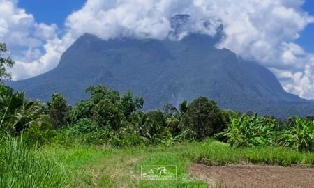 ขายที่ดิน - ขายที่ดินวิวดอยหลวงเชียงดาวติดลำธาร 650เมตร พร้อมโอน