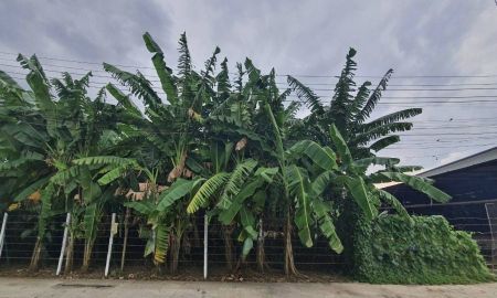 ขายที่ดิน - ขายที่ดินเปล่า หมู่บ้านเศรษฐกิจ ใกล้เดอะมอลล์บางแค ( เพชรเกษม )