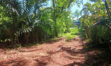 ขายที่ดิน - ขายถูกมาก!! ที่ดิน 291.5 ตร.ว. ทำเลทอง อ.บางละมุง จ.ชลบุรี ใกล้มอเตอร์เวย์ มาบประชัน หาดพัทยา สยามคันทรีคลับ