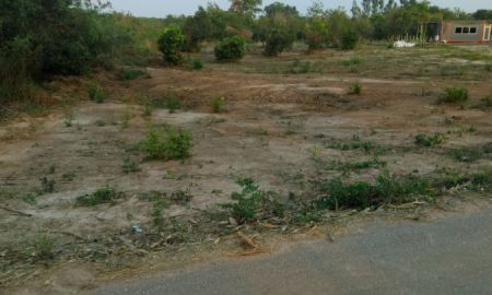 ขายที่ดิน - ขายที่ดินลาดกระทิง 3 ไร่ ติดถนนลาดยางติดลำราง ใกล้ถนนเส้น3259-2กม. อ.สนามชัยเขต ฉะเชิงเทรา