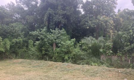 ขายที่ดิน - ที่ดินสำหรับสร้างบ้านหลังเกษียณในฝัน! ราคา 3 ล้านบาท (145 ตารางวา) ใกล้เมืองเชียงใหม่เพียง 9 กม.