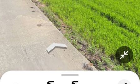 ให้เช่าที่ดิน - ให้เช่าที่ดินระยะยาว 6 ไร่ 2 งาน 37 ตรว. อยู่ปากทางเข้าหมู่บ้าน คนดีศรีสุพรรณ