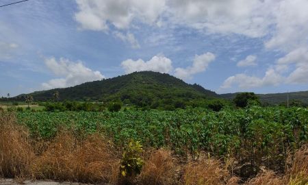 ขายที่ดิน - ขายที่ดินห้วยโป่ง ทำเลดีติดสุขุมวิท 160 ไร่ หลังติดเขา ไม่ติดชุมชน