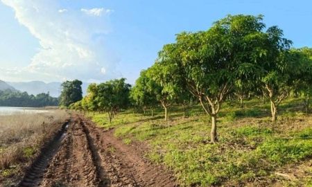 ขายที่ดิน - ที่ดินโฉนด 74-2-1.2 ไร่ ติดอ่างเก็บน้ำ ต.แม่ปั๋ง อ.พร้าว เชียงใหม่