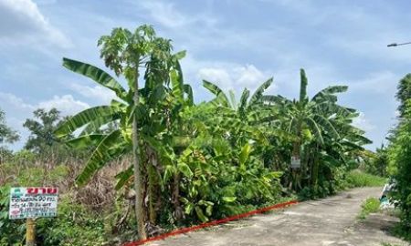 ขายที่ดิน - ขายที่ดินเลียบวารี59 หนองจอก เนื้อที่ 90 ตร.ว ทำเลดี เหมาะปลูกบ้านพักอาศัย โกดัง