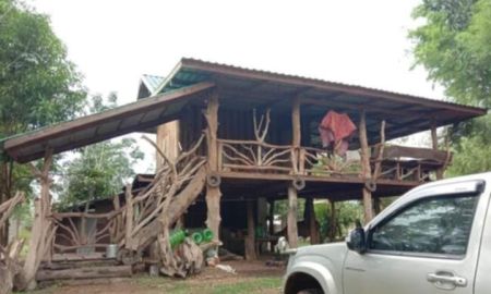 ขายที่ดิน - ขายที่ดินสวนยาง แปลงใหญ่ 62 ไร่เศษ ที่นครพนม