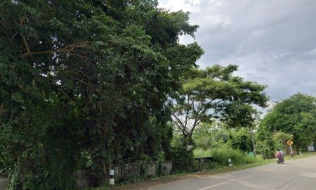 ขายที่ดิน - ขายที่ดินบางเสร่ 80 ตรว. ซอยหนองหิน-วัดทุ่งโปร่ง ติดวิวเขาบรรยากาศดีใกล้ตลาดแยกเจ-4กม. อ.สัตหีบ ชลบุรี