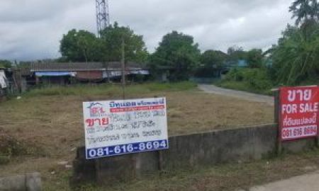 ขายที่ดิน - ที่ดินแปลงสวย 137 ตารางวา ซอยบ้านคลองสะพานดำ กระทุ่มแบน สมุทรสาคร