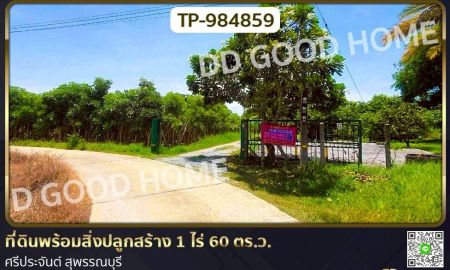 ขายที่ดิน - ที่ดินพร้อมสิ่งปลูกสร้าง 1 ไร่ 60 ตร.ว. ศรีประจันต์ สุพรรณบุรี ใกล้โรงพยาบาลศรีประจันต์
