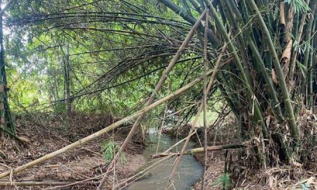 ขายที่ดิน - ขายที่ดินแปลงสวย ติดห้วย ติดภูเขา บางพระ ศรีราชา ทำเลดี ราคาถูก