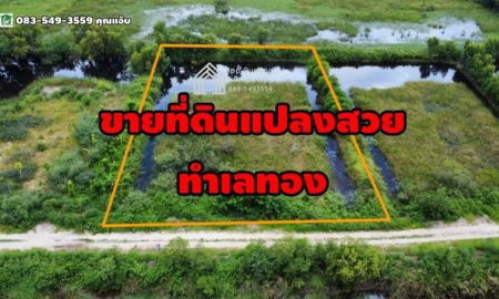 ขายที่ดิน - ขายที่ดิน ทำเลทอง 2ไร่ ต.ลำตาเสา อ.วังน้อย จ.อยุธยา