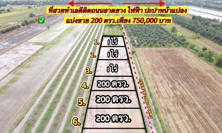 ขายที่ดิน - ขายที่ดินทำเลดี คลอง 8 เนื้อที่ 200 ตรว .หนองเสือ ปทุมธานี