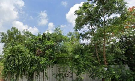 ขายที่ดิน - ขายที่ดินคลองห้าถมแล้ว 200 ตรว. ซอยโรงเรียนทีปังกรวิทยาพัฒน์ ใกล้ถนนเส้น3010-300เมตร อ.คลองหลวง ปทุมธานี