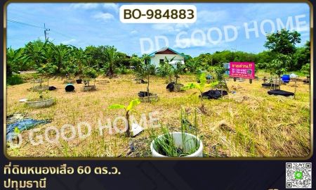 ขายที่ดิน - ที่ดินหนองเสือ 60 ตร.ว. ปทุมธานี ใกล้โรงเรียนสารสาสน์วิเทศปทุมธานี