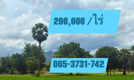 ขายที่ดิน - ที่ดินสวยราคาถูก วิวต้นตาล ทุ่งนา ติดคลองส่งน้ำ ที่ดินใกล้ถนนลาดยาง