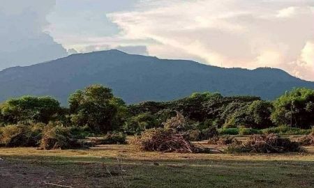 ขายที่ดิน - ขายที่ดินติดลำธารน้ำวิวธรรมชาติปราจีนบุรีพร้อมโอน