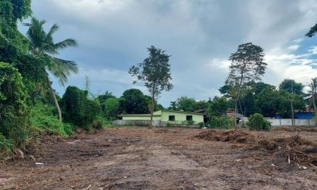 ขายที่ดิน - ที่ดินผังสีเหลืองสันทราย ติดถนนลาดยาง ใกล้ ม.แม่โจ้ เหมาะสร้างโครงการจัดสรร