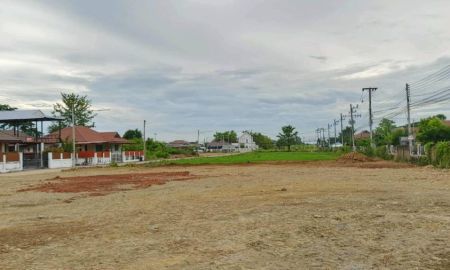 ขายที่ดิน - ขายที่ดินตำบลส้นผักหวานหางดง แบ่งแปลงขายได้กำไรงาม