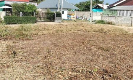 ขายที่ดิน - ขายที่ดินตำบลหนองผึ้งสารภีบ้านดอนจืนห่างถนนหลัก 60 เมตร