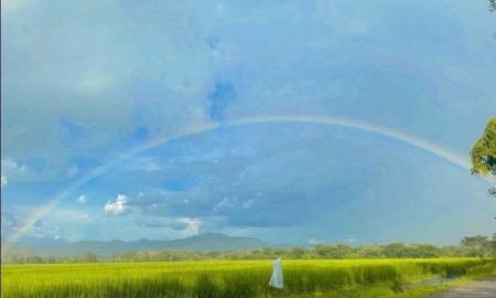 ขายที่ดิน - ขายที่ดินตำบลสันกำแพงวิวน้ำติดลำห้วยโฉนดพร้อมโอน