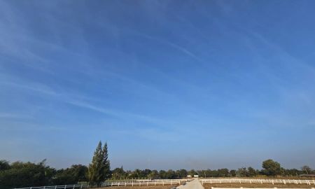 ขายที่ดิน - โอกาสทองสำหรับการลงทุน ที่ดินวิวเขา 200 ตรว. สุดพิเศษ ใจกลางเขาใหญ่