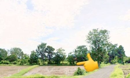 ขายที่ดิน - ที่นาแปลงสวย ใกล้ถนนสายหลัก อ.นางรอง บุรีรัมย์