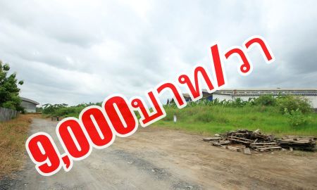 ขายที่ดิน - ขายที่ดินเอกชัยกระทุ่มแบน สมุทรสาคร เลียบคลองหมื่นปรารมย์ สร้างโรงงาน โกดัง ที่ดินถมแล้วทั้งแปลง 2-0-59 ไร่ 9,000/วา