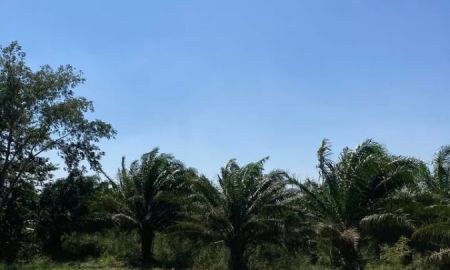 ขายที่ดิน - ขายที่ดินห้างสูง 18 ไร่ ติดถนน2ด้านซอบอบต.ห้างสูงเส้น4082 ใกล้นิคมเอเชียคลีน-6กม. อ.หนองใหญ่ ชลบุรี