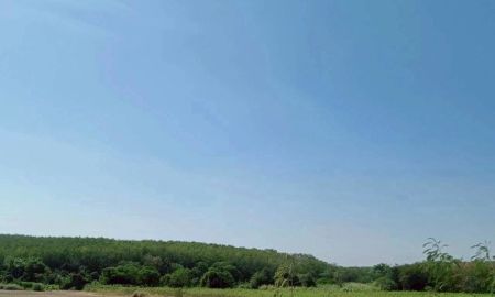 ขายที่ดิน - ขายที่ดินเขาคันทรง ศรีราชา แปลงสวย ทำเลดี เยื้องๆนิคมโรจนะ บ่อวิน