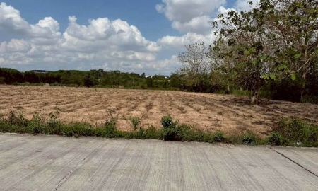 ขายที่ดิน - ขายที่ดินแปลงใหญ่ แปลงสวย ทำเลดี เขตปลวดแดง ระยอง