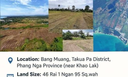 ขายที่ดิน - ที่ดินติดทะเล จำนวน 2 แปลง เนื้อที่ 46-1-95 ตรว. อ.ตะกั่วป่า จ.พังงา