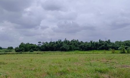 ขายที่ดิน - ขายที่ดินศรีราชา โซนเขาคันทรง แปลงสวย ติดนิคมโรจนะ